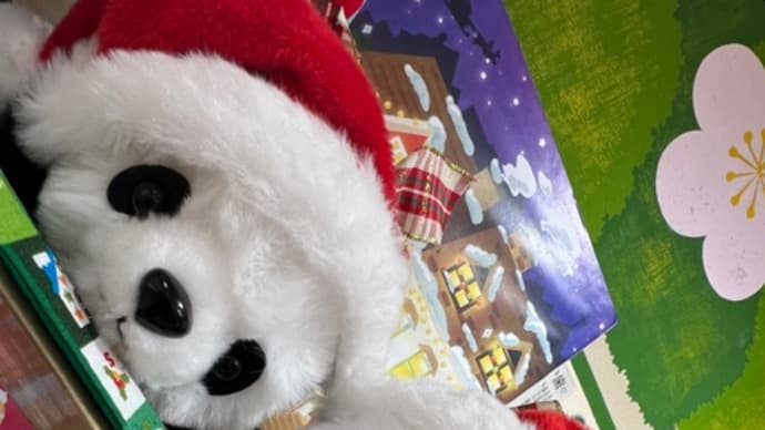 ❤️Xmas❤️上野案内所はクリスマス双子パンダ❤️