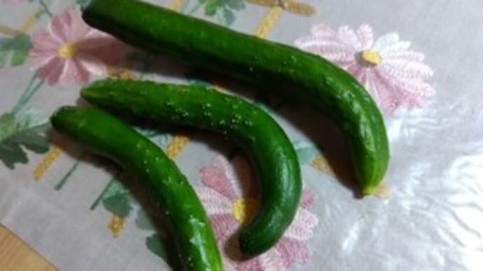 ポテトサラダ