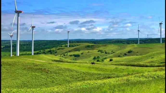 色んな風景～稚内・風車と宗谷牛～