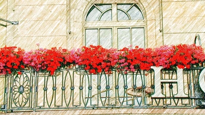 窓際の花壇