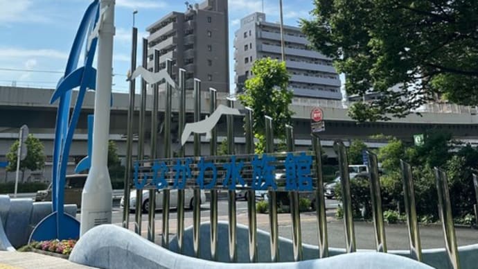 ゴマフアザラシの赤ちゃん