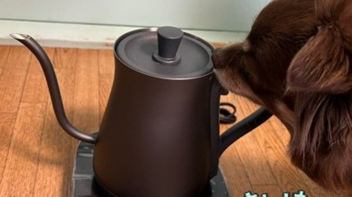 ふるさと納税 電気ケトル
