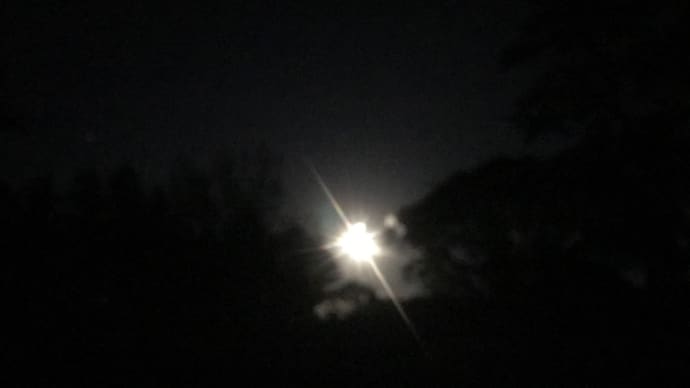月夜