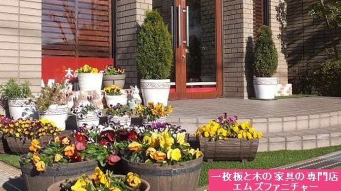 1175、今月末には、新作の一枚板も入荷、そして仕上がる予定です。一枚板と木の家具の専門店エムズファニチャーです。