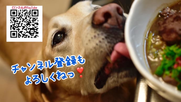 大型犬ごはん動画　☆今日のロンごはん☆馬肉やら、蝦夷鹿やら☆