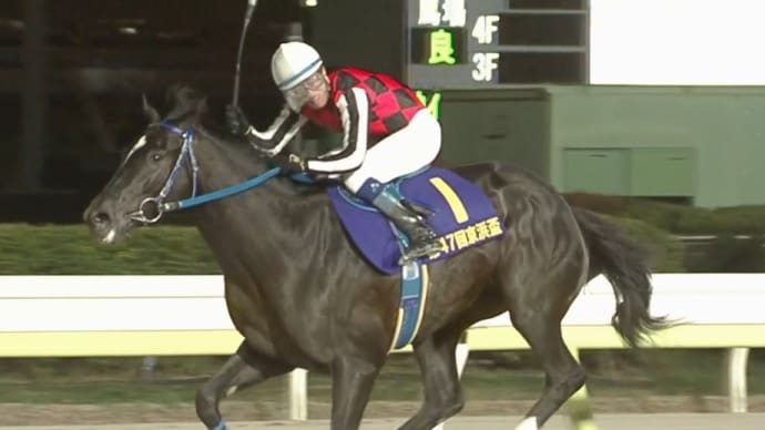 🐴おうまさん(24/3/23) 日経賞・毎日杯