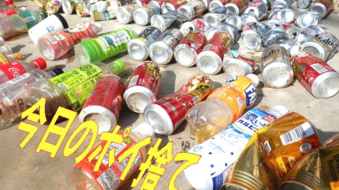飲料容器にはリサイクルリターン制度で高価な有価物に!世界に向けて日本で先に取り組めないかなSDGs