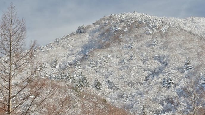 御坂山地北斜面の雪景色