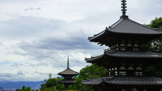 當麻寺 奇跡の光景
