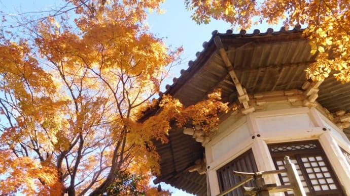 鎌倉山「檑亭」の庭　竹林と紅葉