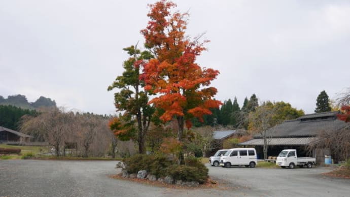 熊本県高森町 「阿蘇の紅葉」