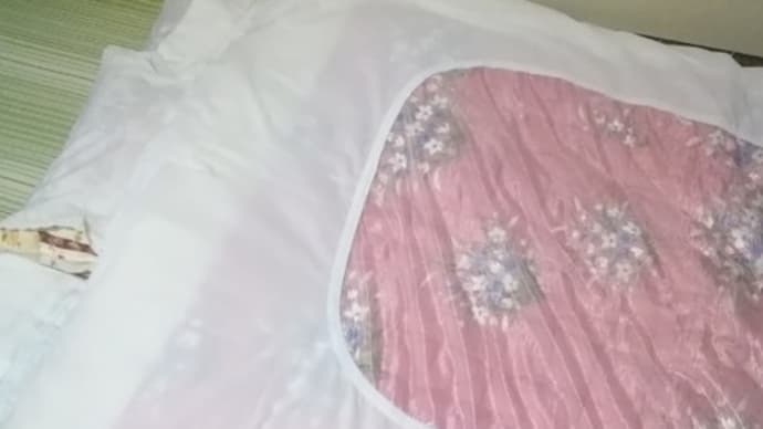 ある一日の何でもない動き