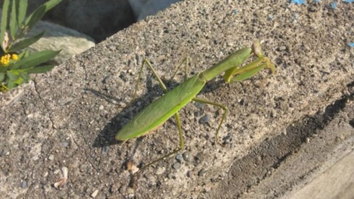 季節は秋
