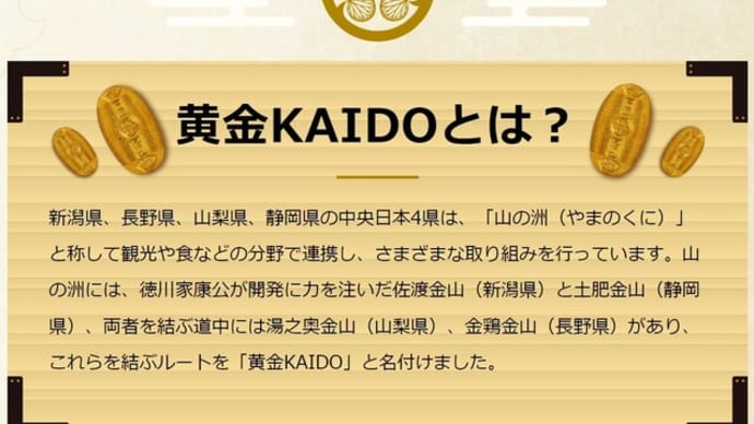 黄金KAIDOプロジェクト