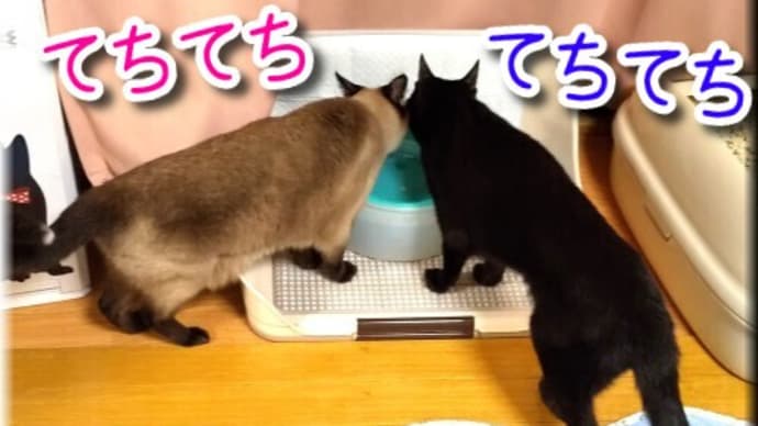 遠い記憶