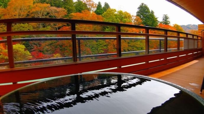 当館周辺の紅葉が見頃を迎えています!
