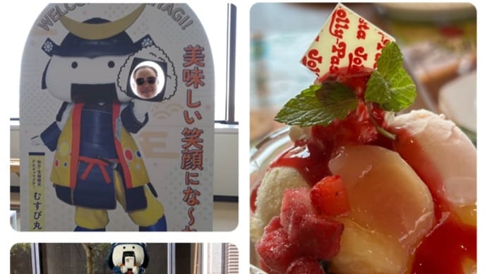 県庁と北海道物産展と通院