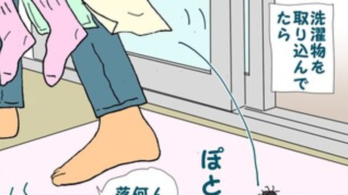 カメムシっ?!