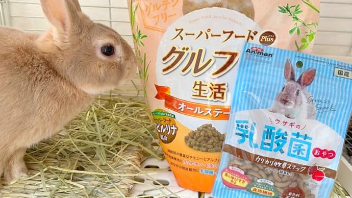 新しいペレット続々。