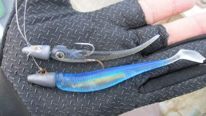ショートバイトの正体は、