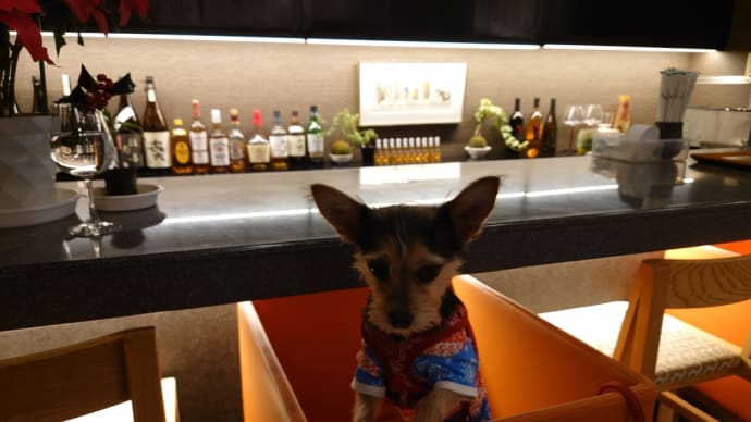 パー子をエスコートして