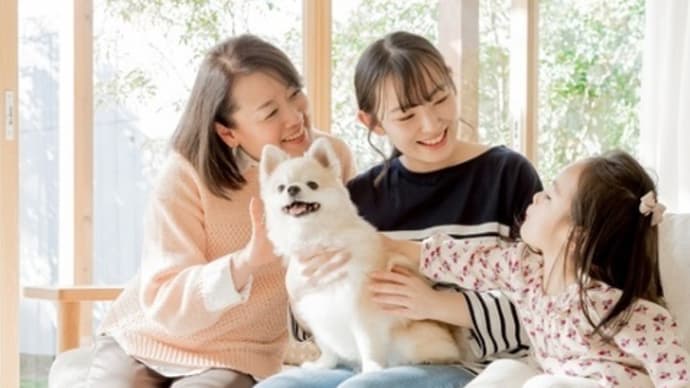 ひと窓あたり20~60分で、お財布と地球にやさしいエコガラスに交換