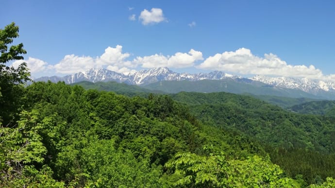 峰街道◆目には青葉 山ほととぎす 初鰹 (3)