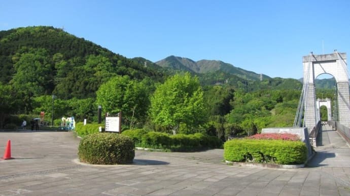 篠窪(しのくぼ)の隣町 風の吊り橋で「緑一色」の世界を楽しむ(2025/05/03)