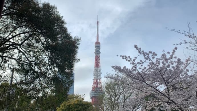 東京タワー〜鯉のぼり