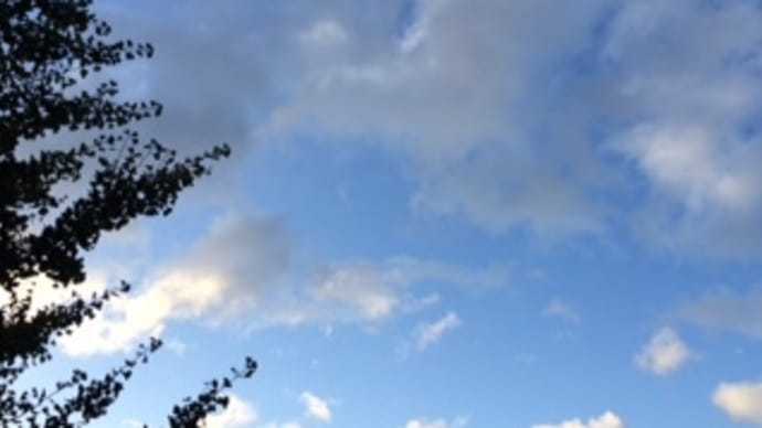 さわらないでほしい