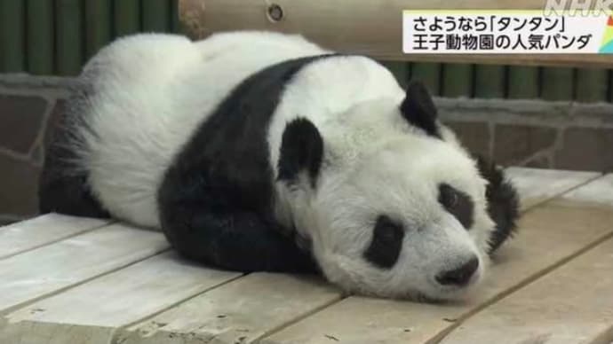 王子動物園のパンダ『タンタン』死ぬ