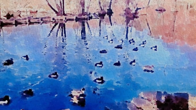 東京 石神井公園冬景色