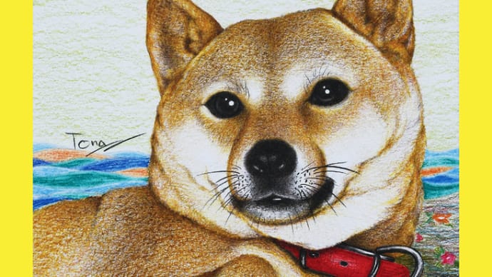 柴犬描画依頼承り
