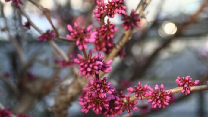 それは神の恵みによる