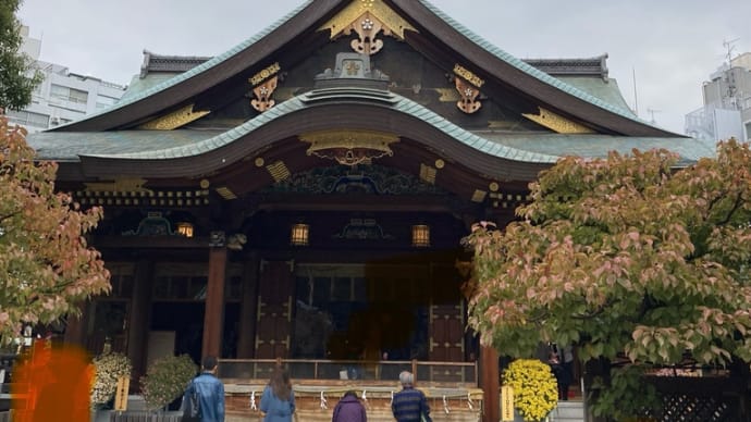 菊の花が綺麗な神社