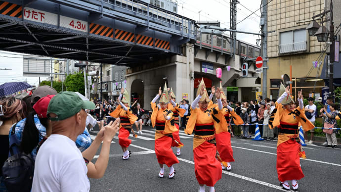 ◆葛飾菖蒲まつり・阿波踊り(流し踊りその1)