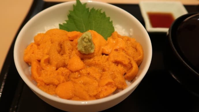 札幌で美味かった物①~エゾバフンウニ丼
