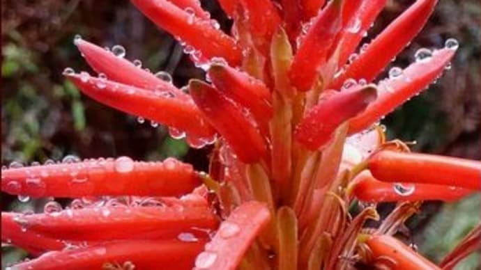 そっちが心配★雨の日のテラスより