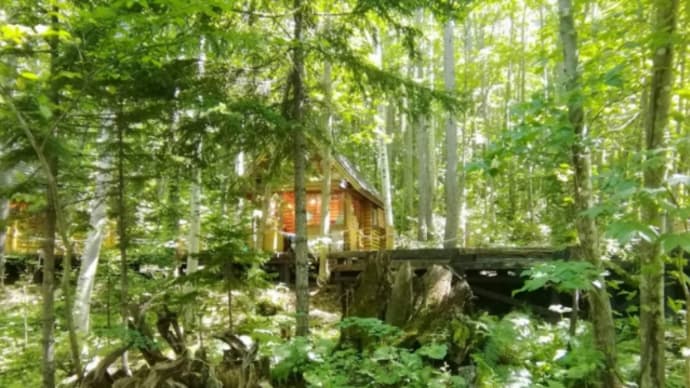【夏の北海道を思い出す】