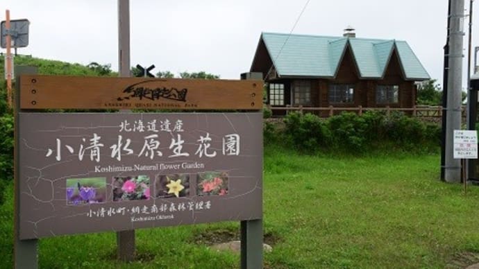 カーフェリーを使って北海道の旅（No14）小清水原生花園