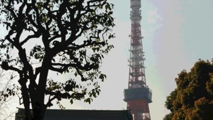 桜満開 増上寺 徳川将軍家墓所と東京タワー