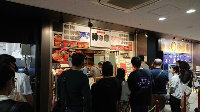 仲家（東京　豊洲市場）の海鮮丼はとてもオススメ！