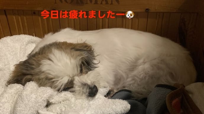 3週間の通院と検査結果。