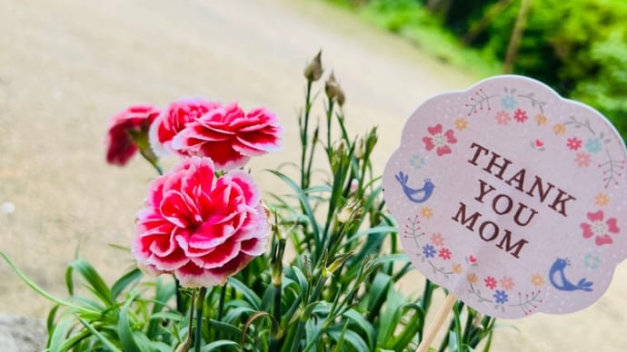 82歳☺️孫の結婚式