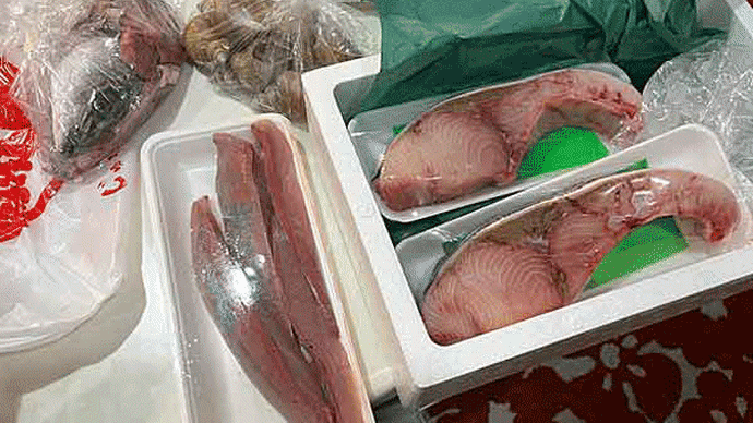 がんばれっ石川!② 土産だぁ〜!能登産天然ぶり&フクラギ&バイ貝ゲット!