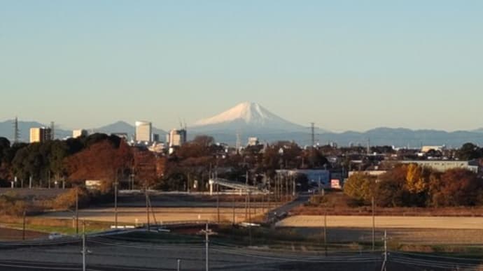 今朝の富士山&貝雛お姫様誕生!