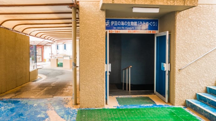 【下田海中水族館】うみめぐり FILE:11 研究エリア