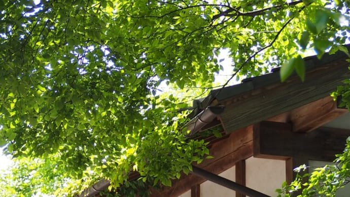 喜んでもらえるお酒を、