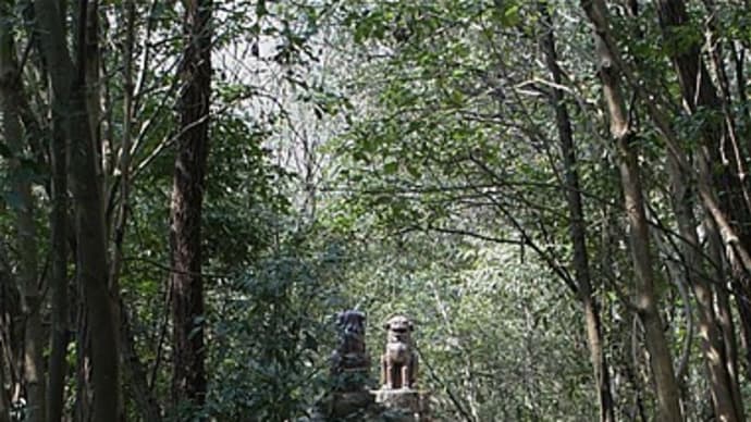 龍之口山散策（南展望台） for 腰痛対策散歩