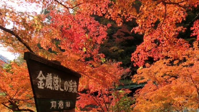 オリジナルテンプレート紅葉に変えました~🎵